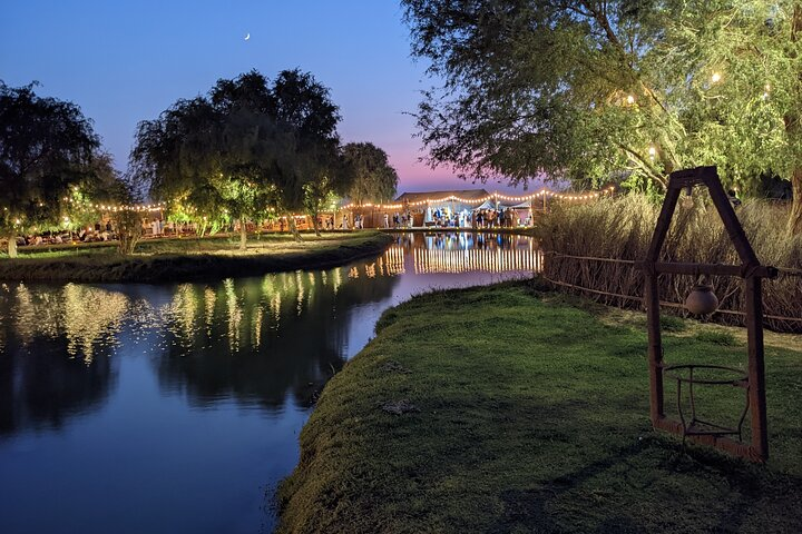 Immerse in the serene ambiance of Al Marmoom Oasis where desert sunsets meet relaxing evenings. Enjoy traditional customs camel rides and delectable Emirati cuisine in a tranquil setting.